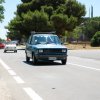 Montevago 2010 (459)